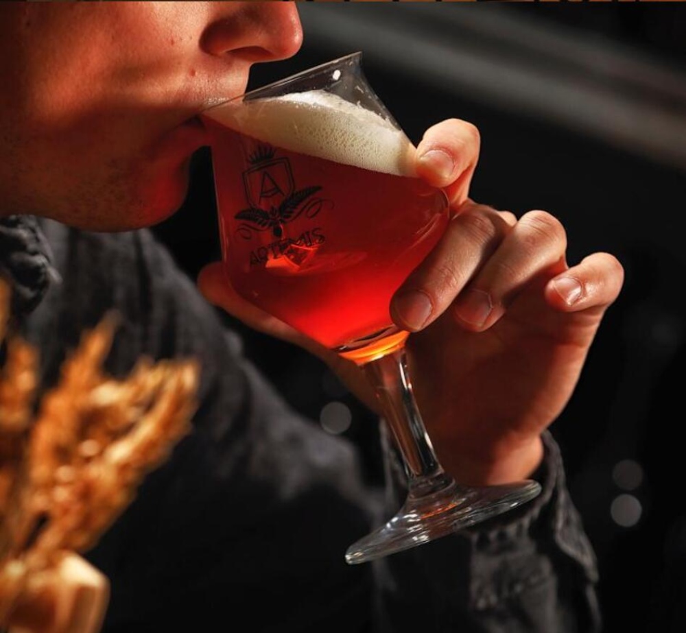 Équipement de brasserie, fermenteur de bière, cuve de fermentation de bière, système de microbrasserie, pistolet à houblon, brasserie aux Pays-Bas