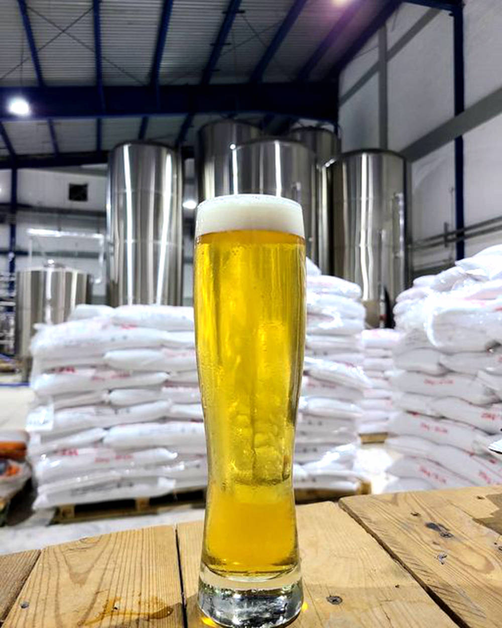 Équipements de brassage de bière de brasserie, fermenteur de bière conique en acier inoxydable, équipements de brasserie commerciale à vendre, comment installer une brasserie, coût de l'équipement de brasserie, réservoir de bière, machine d'embouteillage de bière