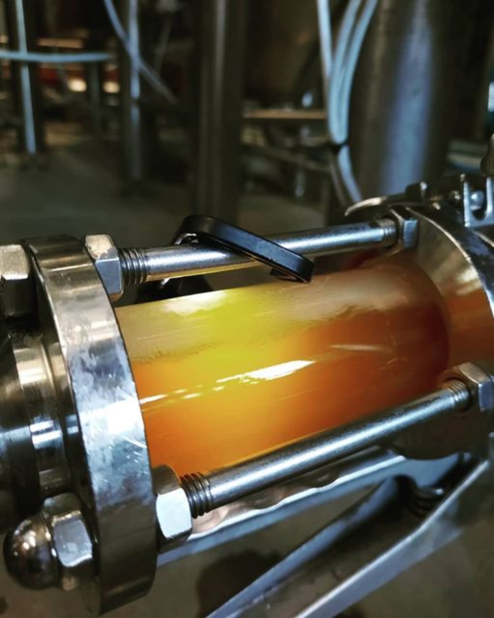Équipement de brasserie, fermenteur de bière, cuve de fermentation de bière, système de microbrasserie, pistolet à houblon, brasserie aux Pays-Bas