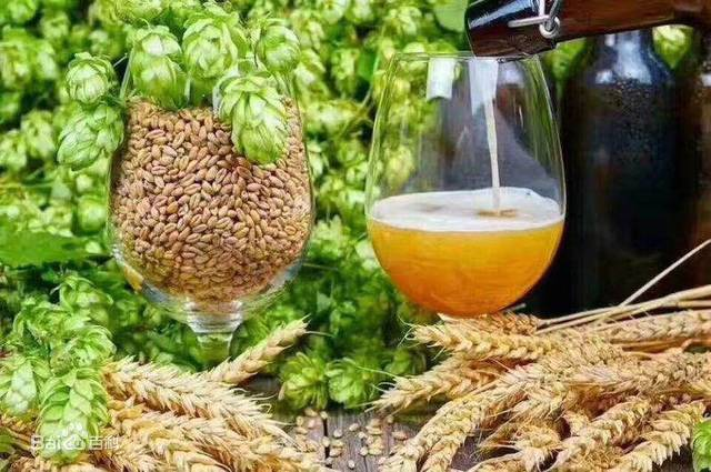 brewery supply， brewery suppliers， brewery manufacturers，