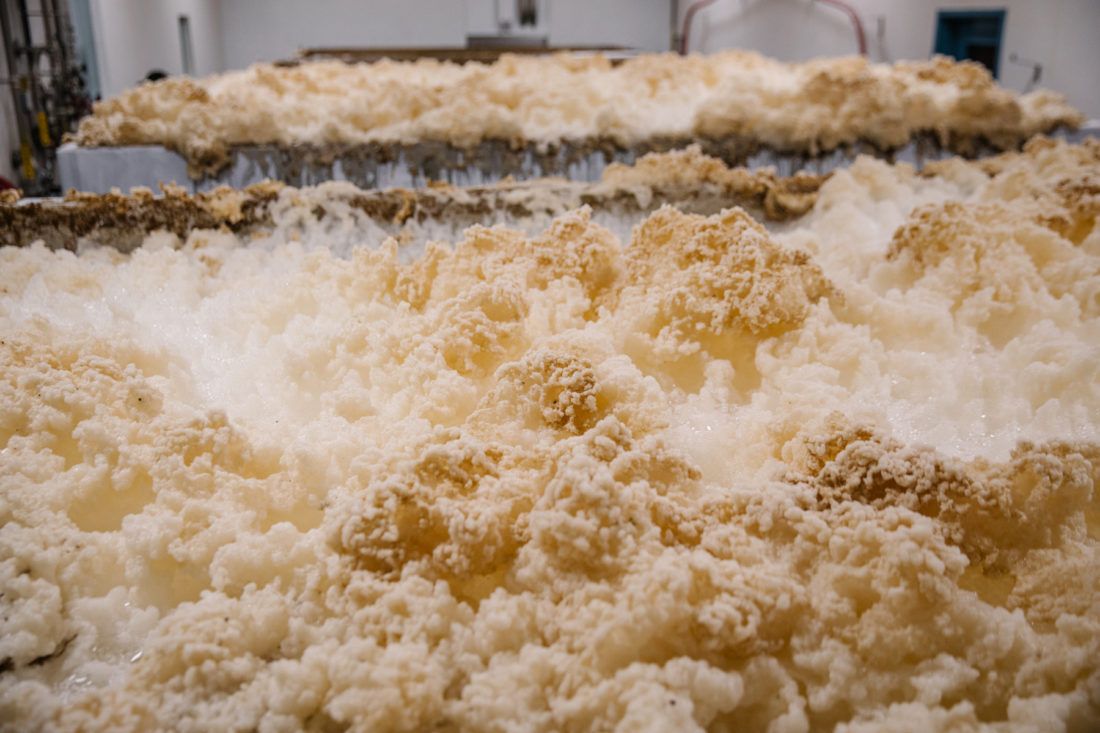 beer fermentating