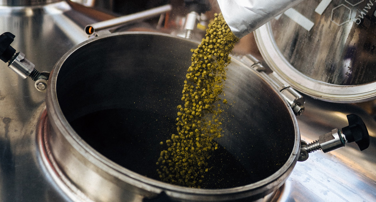 houblon en grains