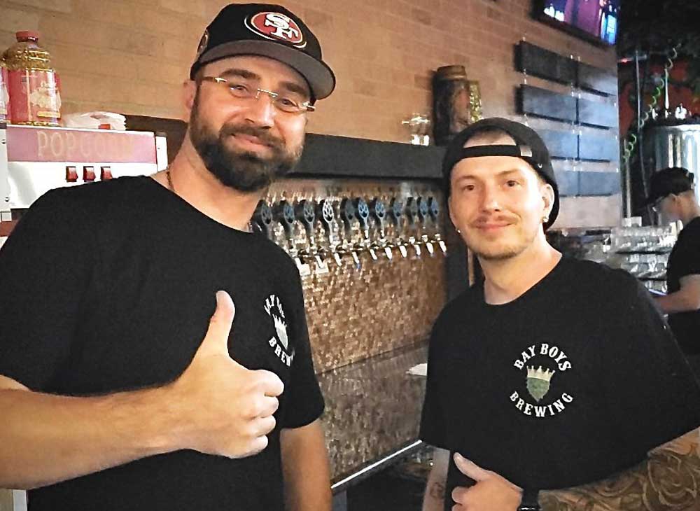 7bbl brewhouse, beer brewing system, brewery system, beer fermenters