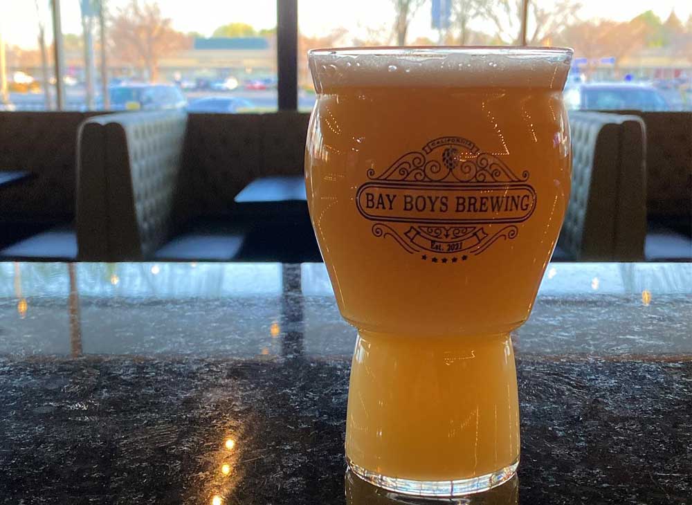 7bbl brewhouse, beer brewing system, brewery system, beer fermenters