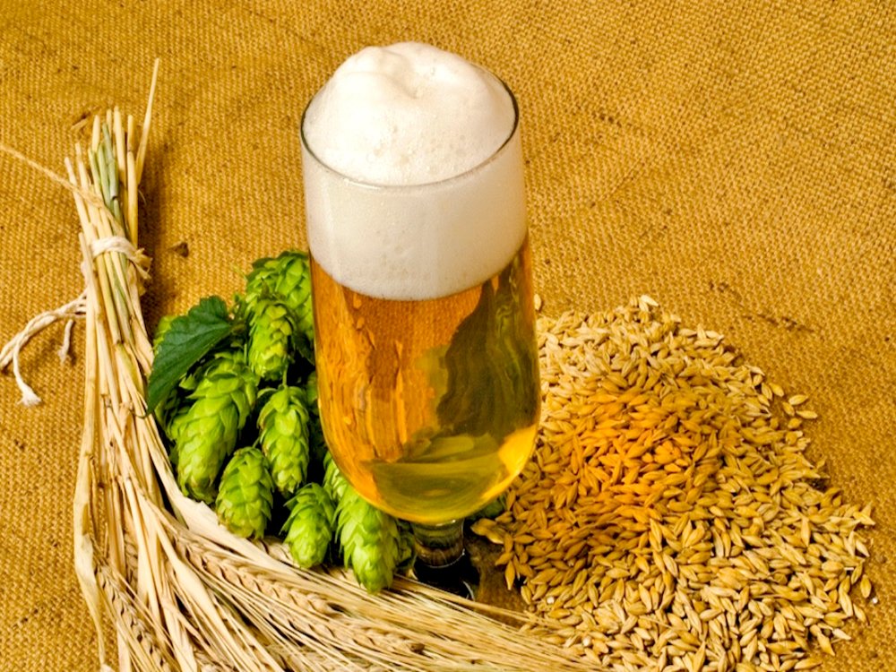 microbrewery system， brewery systems， micro brewery system，