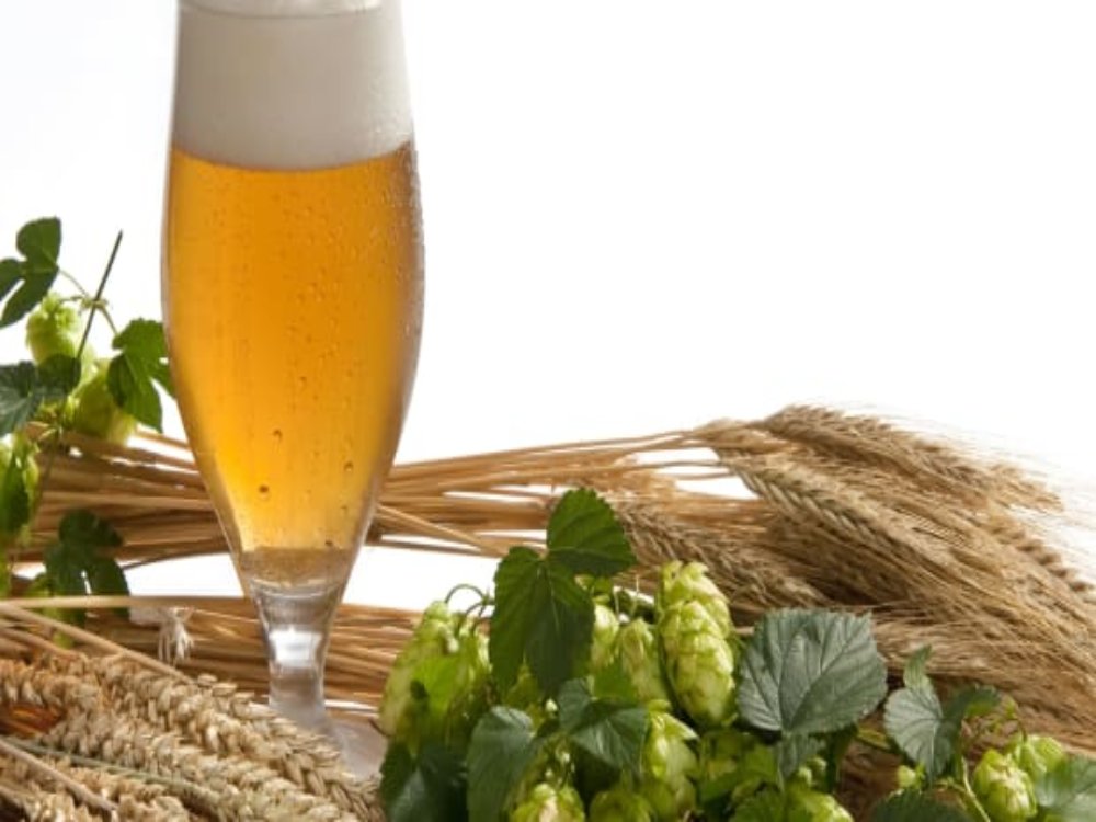 stainless steel beer fermentation tank， fermentation equipment for sale， fermentation equipment and its use