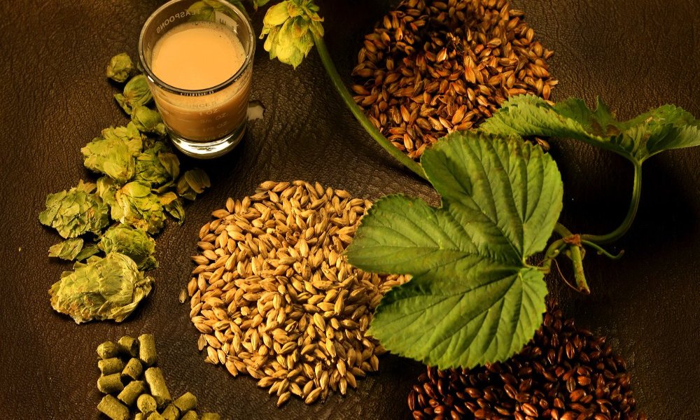 <b>What is the reason for the slow dehydration rate in the early stage of malt drying?</b>