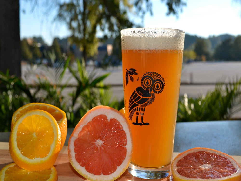 <b>What are the effects of higher alcohols on beer?</b>