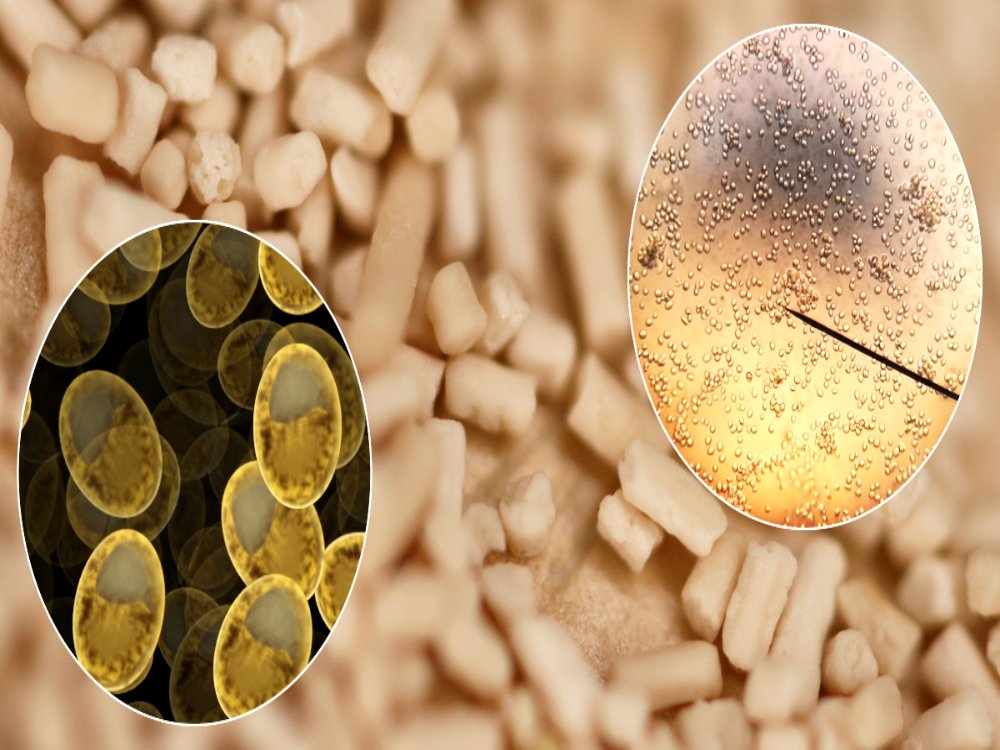 <b>What are the ways to add yeast to beer?</b>