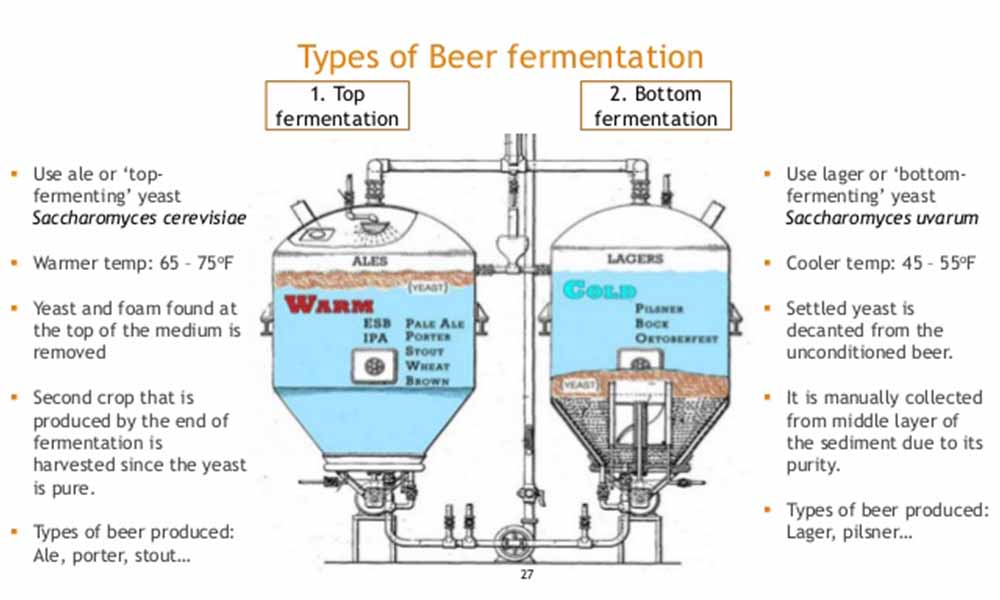 stainless steel conical fermenters, microbrewery fermenter