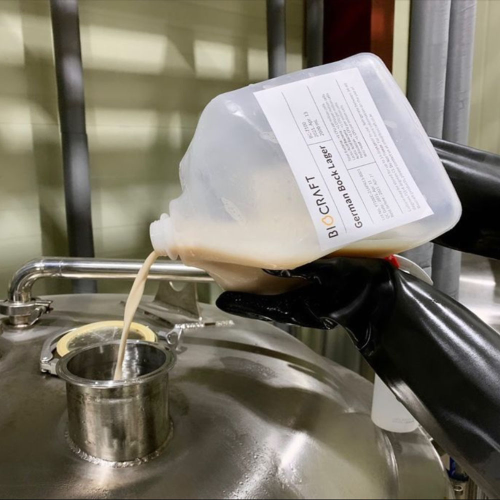 5BBL beer fermenter,brewery equipment