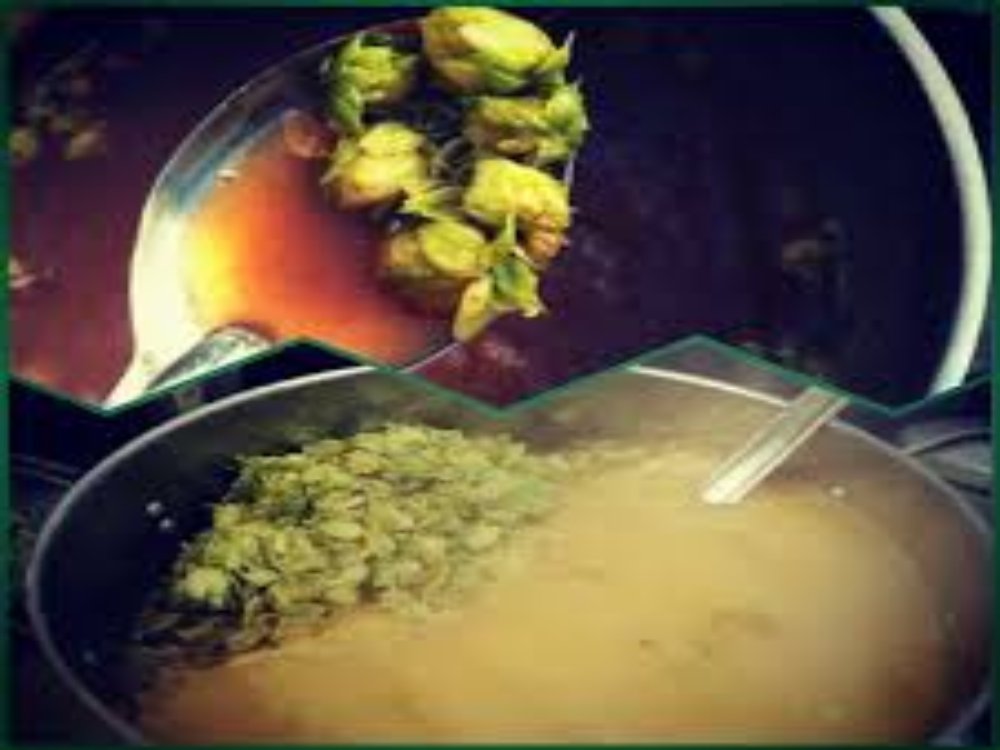 <b>What should be paid attention to in wort boiling?</b>