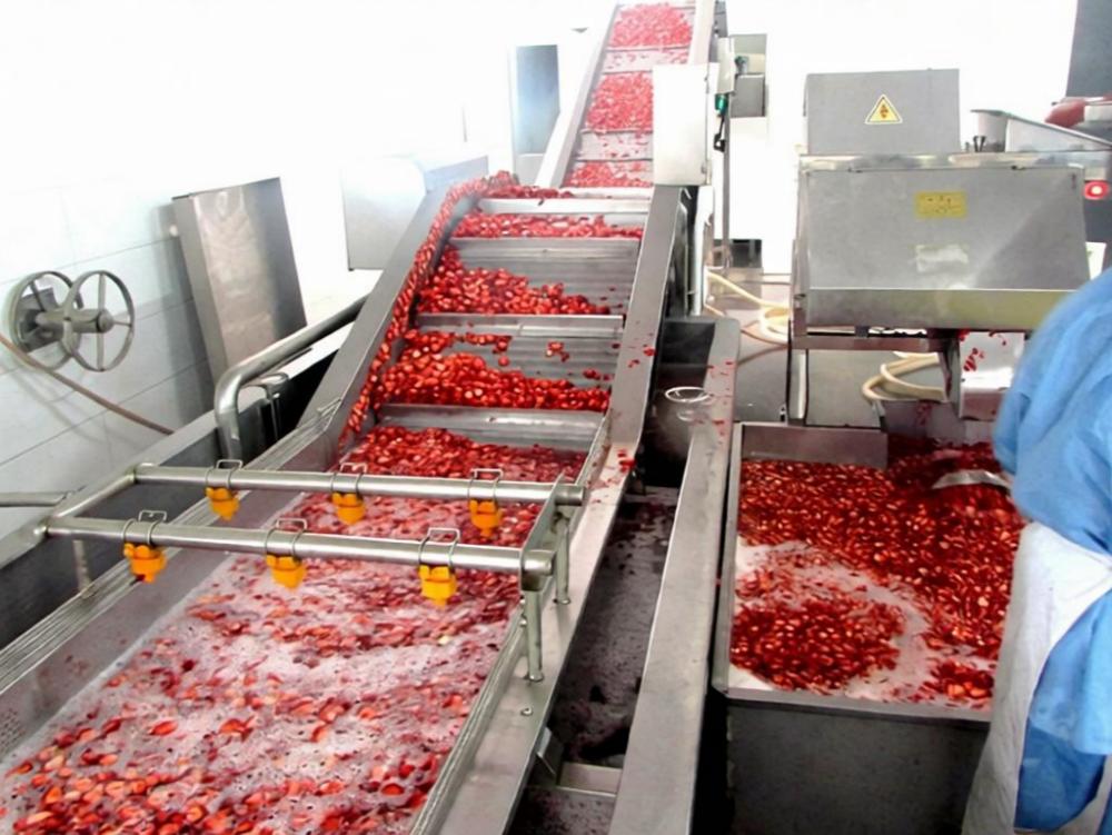 Fruit washing machine-Tiantai