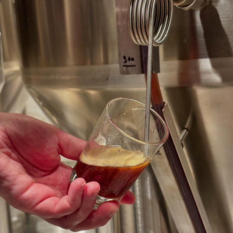 Naked-Iguana-Brewery-7bbl-beer-equipment-4