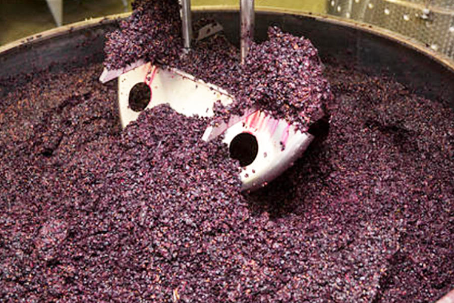 wine tanks jan twelve 1